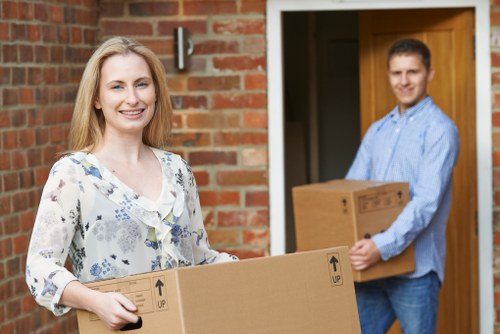 Man with van service helping with a local move in Pimlico