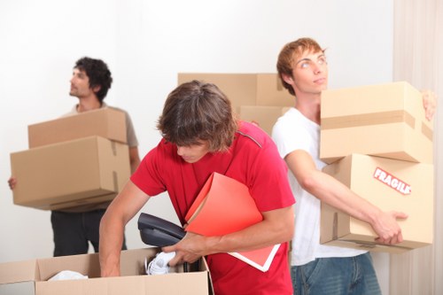 Careful packing of fragile items for a Pimlico removal