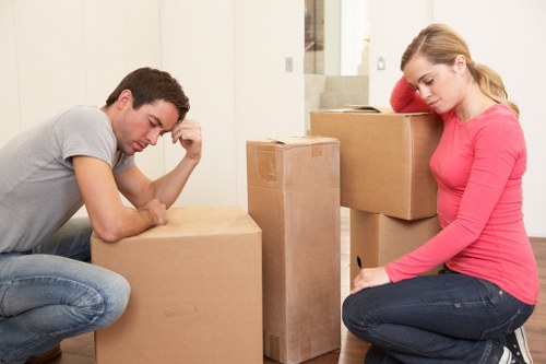 Packing materials and labelled boxes for a residential relocation