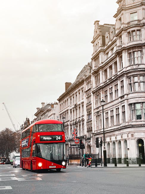 A red double-decker bus, numbered 24 and displaying 'Pimlico' as its destination, is traveling along a city street in the UK. The background features a row of historic, multi-story white buildings wit